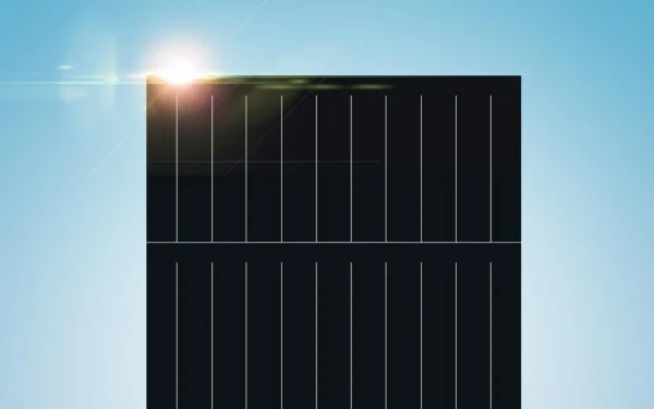 TrinaSolar Vertex 605W
